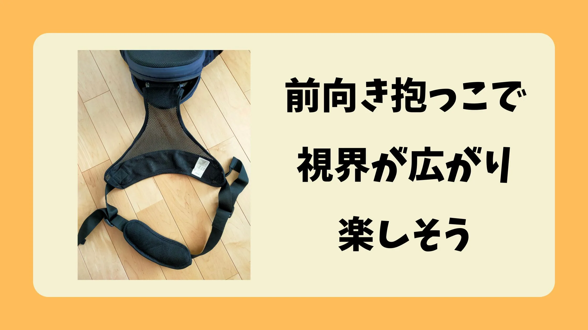 前向き抱っこで視界が広がり楽しそう